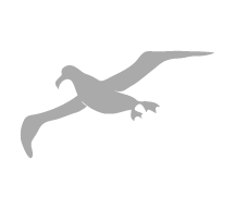 waved-albatross-galapagos-islands-ecuador