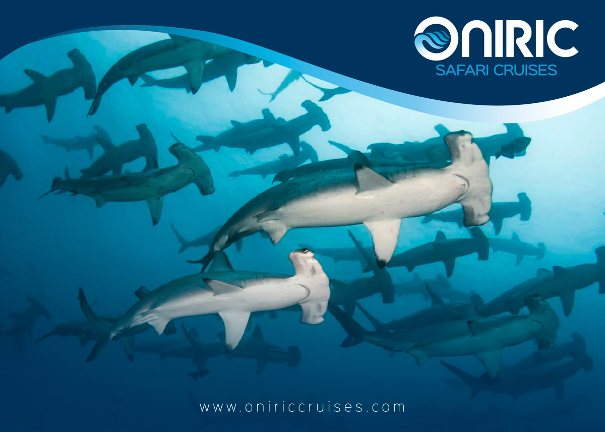 brochure-Oniric-Cruises-Diving-galapagos-islands