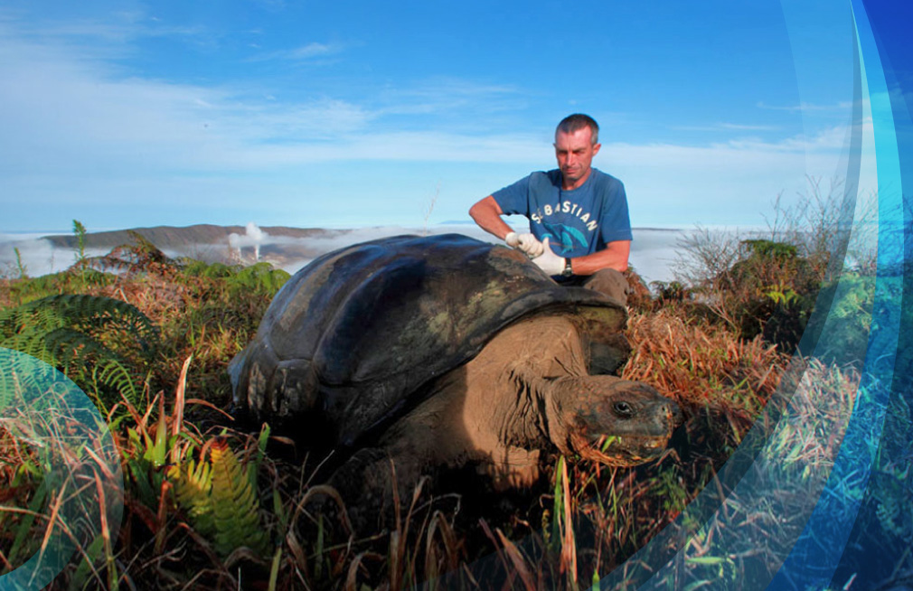 Galapagos NGOs, in a race to save the rarest place on Earth