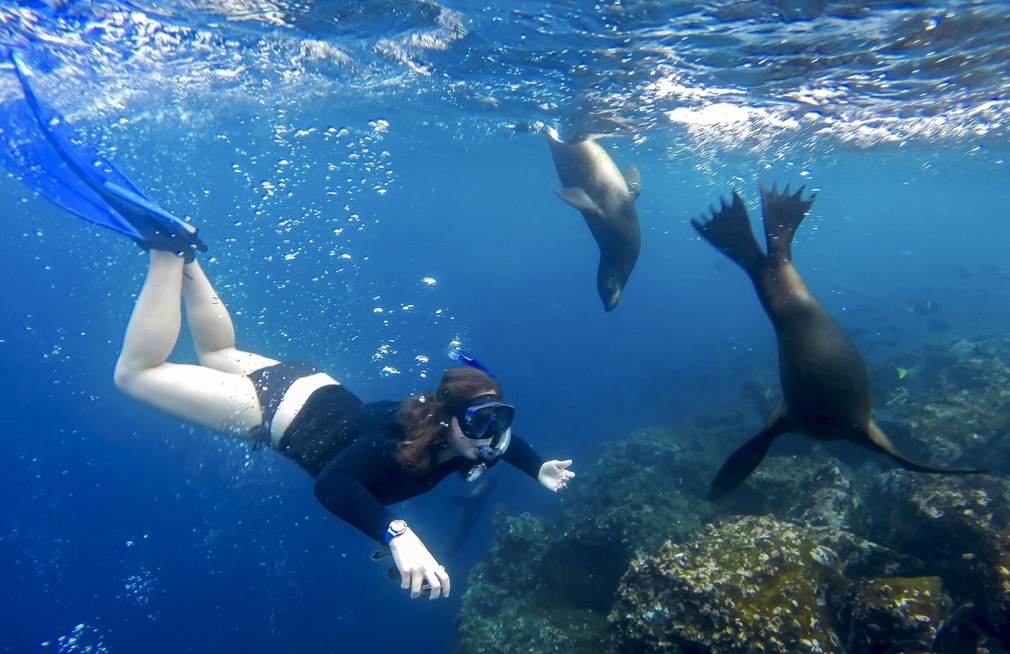 The New Explorers: How a Generation is Redefining Luxury Travel in the Galapagos